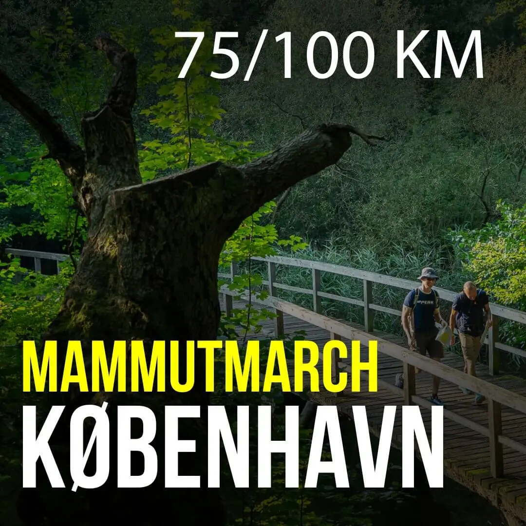 MammutMarch logo